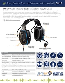 SM1P Datasheet 2025_thumbnail