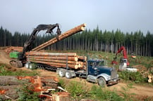 Forestry