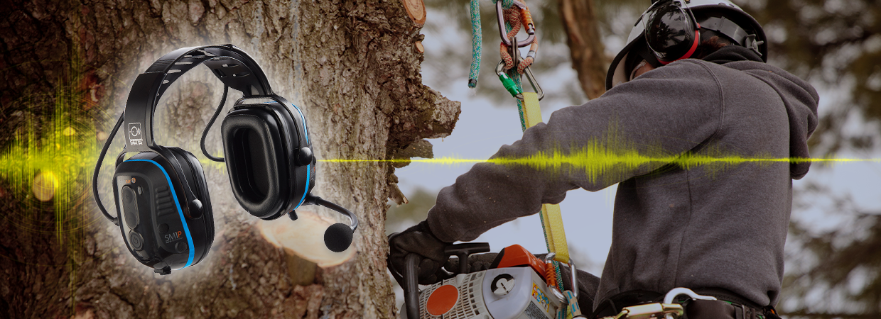 Forestry workplaces rank among the noisiest environments